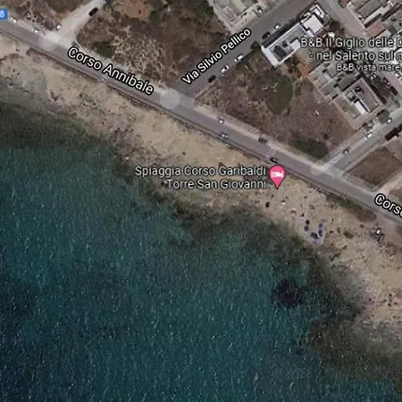 Il Giglio Delle Dune Bed & Breakfast *