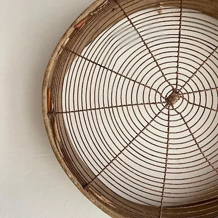 Il Giglio Delle Dune Alojamento de Acomodação e Pequeno-almoço